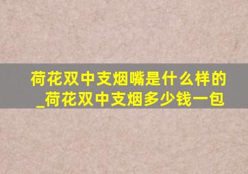 荷花双中支烟嘴是什么样的_荷花双中支烟多少钱一包