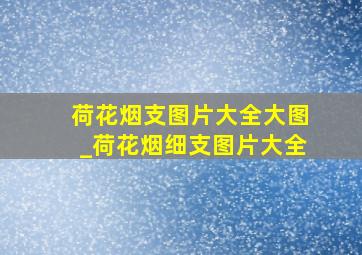 荷花烟支图片大全大图_荷花烟细支图片大全