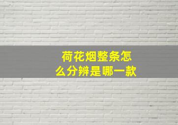 荷花烟整条怎么分辨是哪一款