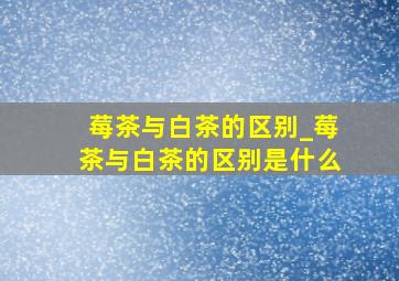 莓茶与白茶的区别_莓茶与白茶的区别是什么