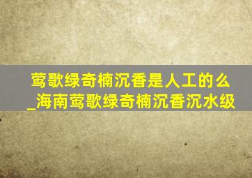 莺歌绿奇楠沉香是人工的么_海南莺歌绿奇楠沉香沉水级