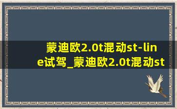 蒙迪欧2.0t混动st-line试驾_蒙迪欧2.0t混动st-line纯电能跑多少公里