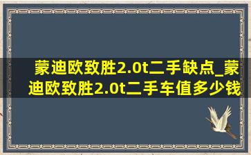 蒙迪欧致胜2.0t二手缺点_蒙迪欧致胜2.0t二手车值多少钱