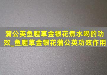 蒲公英鱼腥草金银花煮水喝的功效_鱼腥草金银花蒲公英功效作用