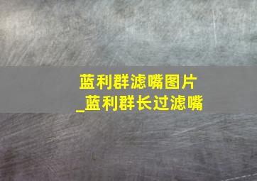 蓝利群滤嘴图片_蓝利群长过滤嘴