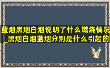 蓝烟黑烟白烟说明了什么燃烧情况_黑烟白烟蓝烟分别是什么引起的