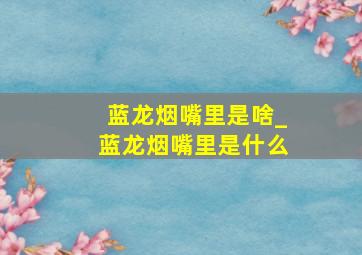 蓝龙烟嘴里是啥_蓝龙烟嘴里是什么