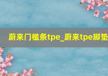 蔚来门槛条tpe_蔚来tpe脚垫