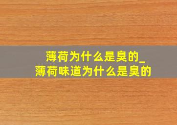 薄荷为什么是臭的_薄荷味道为什么是臭的