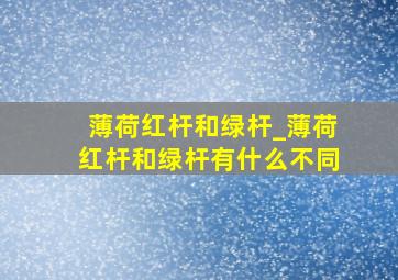 薄荷红杆和绿杆_薄荷红杆和绿杆有什么不同