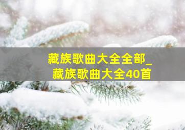 藏族歌曲大全全部_藏族歌曲大全40首