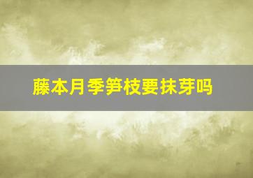 藤本月季笋枝要抹芽吗