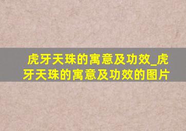 虎牙天珠的寓意及功效_虎牙天珠的寓意及功效的图片