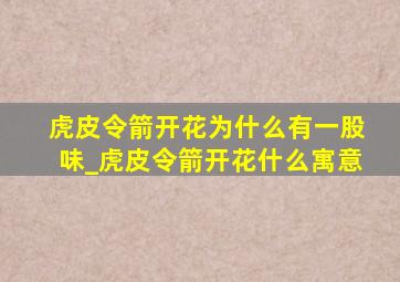 虎皮令箭开花为什么有一股味_虎皮令箭开花什么寓意