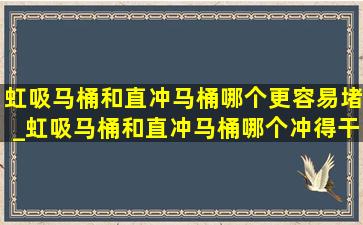 虹吸马桶和直冲马桶哪个更容易堵_虹吸马桶和直冲马桶哪个冲得干净