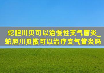 蛇胆川贝可以治慢性支气管炎_蛇胆川贝散可以治疗支气管炎吗