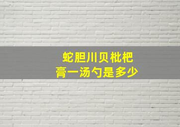 蛇胆川贝枇杷膏一汤勺是多少