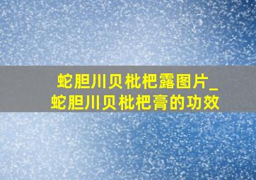 蛇胆川贝枇杷露图片_蛇胆川贝枇杷膏的功效