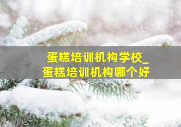 蛋糕培训机构学校_蛋糕培训机构哪个好