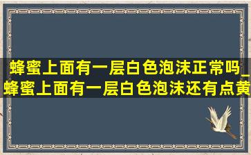 蜂蜜上面有一层白色泡沫正常吗_蜂蜜上面有一层白色泡沫还有点黄