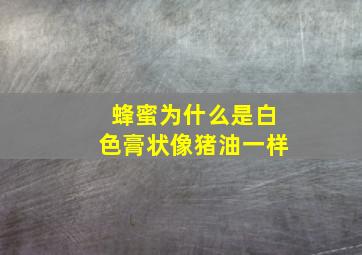 蜂蜜为什么是白色膏状像猪油一样