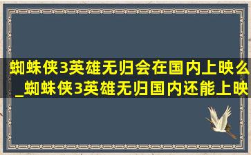 蜘蛛侠3英雄无归会在国内上映么_蜘蛛侠3英雄无归国内还能上映么