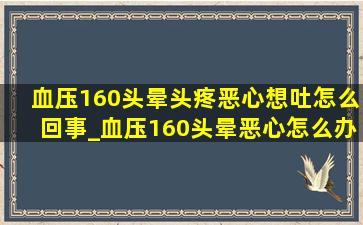 血压160头晕头疼恶心想吐怎么回事_血压160头晕恶心怎么办