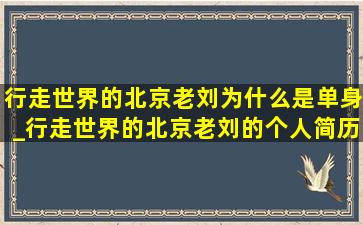 行走世界的北京老刘为什么是单身_行走世界的北京老刘的个人简历