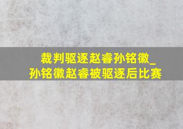 裁判驱逐赵睿孙铭徽_孙铭徽赵睿被驱逐后比赛