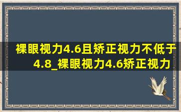 裸眼视力4.6且矫正视力不低于4.8_裸眼视力4.6矫正视力4.8