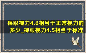 裸眼视力4.6相当于正常视力的多少_裸眼视力4.5相当于标准视力多少