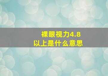 裸眼视力4.8以上是什么意思