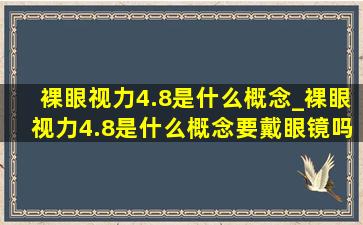 裸眼视力4.8是什么概念_裸眼视力4.8是什么概念要戴眼镜吗