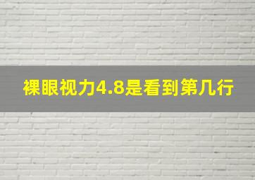 裸眼视力4.8是看到第几行