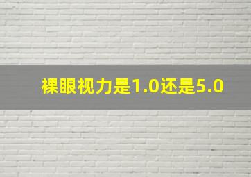 裸眼视力是1.0还是5.0