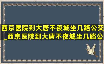 西京医院到大唐不夜城坐几路公交_西京医院到大唐不夜城坐几路公交车