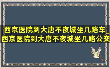 西京医院到大唐不夜城坐几路车_西京医院到大唐不夜城坐几路公交