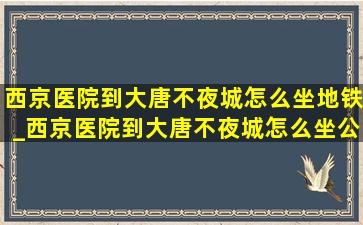 西京医院到大唐不夜城怎么坐地铁_西京医院到大唐不夜城怎么坐公交