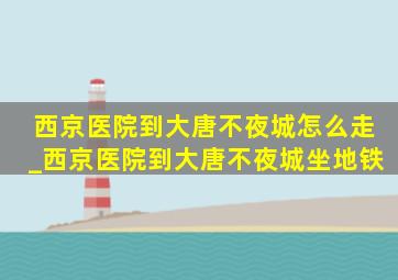 西京医院到大唐不夜城怎么走_西京医院到大唐不夜城坐地铁