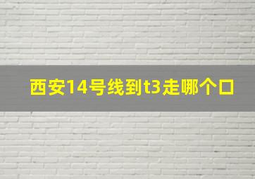 西安14号线到t3走哪个口