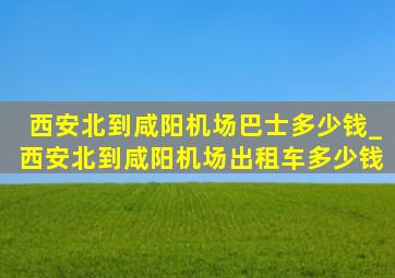 西安北到咸阳机场巴士多少钱_西安北到咸阳机场出租车多少钱