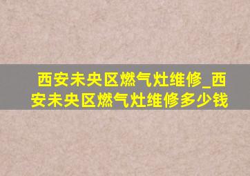 西安未央区燃气灶维修_西安未央区燃气灶维修多少钱