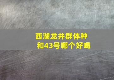 西湖龙井群体种和43号哪个好喝