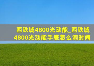 西铁城4800光动能_西铁城4800光动能手表怎么调时间