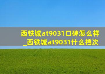 西铁城at9031口碑怎么样_西铁城at9031什么档次