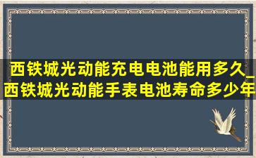 西铁城光动能充电电池能用多久_西铁城光动能手表电池寿命多少年