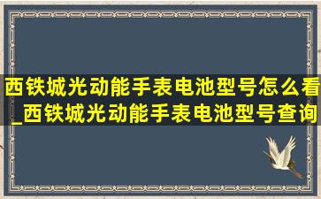 西铁城光动能手表电池型号怎么看_西铁城光动能手表电池型号查询