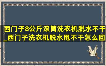 西门子8公斤滚筒洗衣机脱水不干_西门子洗衣机脱水甩不干怎么回事