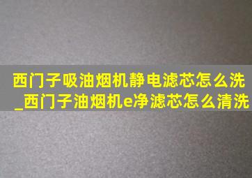 西门子吸油烟机静电滤芯怎么洗_西门子油烟机e净滤芯怎么清洗