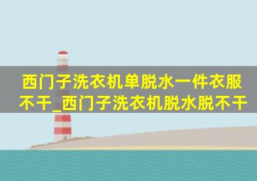 西门子洗衣机单脱水一件衣服不干_西门子洗衣机脱水脱不干